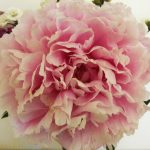 20200702_204908lightmod